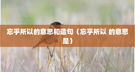 忘乎所以的意思和造句（忘乎所以 的意思是）