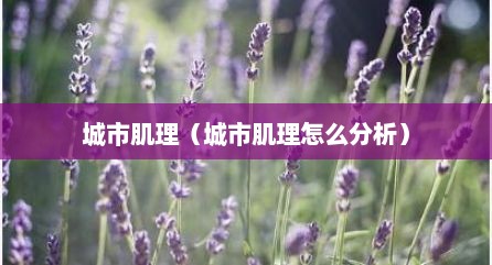 城市肌理（城市肌理怎么分析）