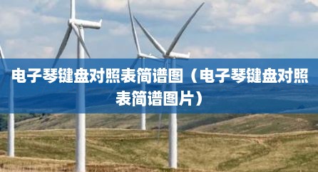 电子琴键盘对照表简谱图（电子琴键盘对照表简谱图片）