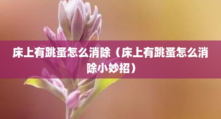 床上有跳蚤怎么消除（床上有跳蚤怎么消除小妙招）
