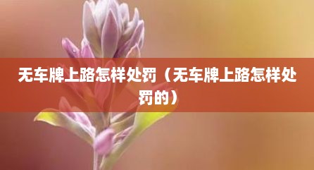 无车牌上路怎样处罚（无车牌上路怎样处罚的）