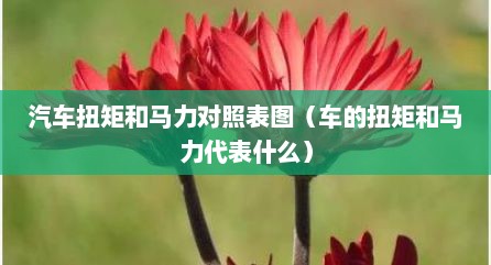 汽车扭矩和马力对照表图（车的扭矩和马力代表什么）