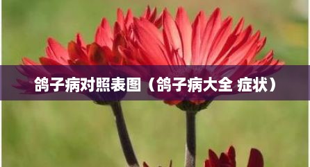 鸽子病对照表图（鸽子病大全 症状）