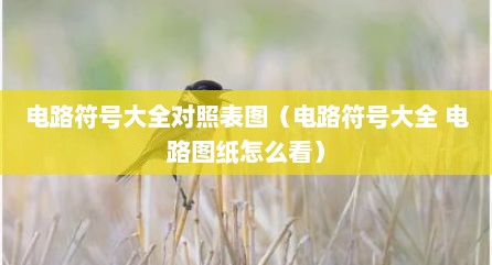 电路符号大全对照表图（电路符号大全 电路图纸怎么看）