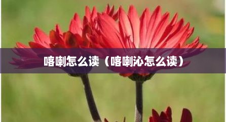 喀喇怎么读（喀喇沁怎么读）
