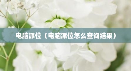 电脑派位（电脑派位怎么查询结果）