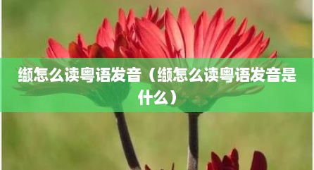 缬怎么读粤语发音（缬怎么读粤语发音是什么）