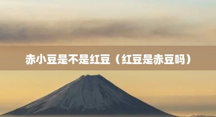 赤小豆是不是红豆（红豆是赤豆吗）