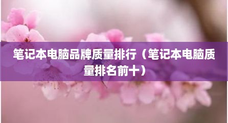 笔记本电脑品牌质量排行（笔记本电脑质量排名前十）