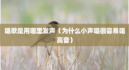 唱歌是用哪里发声（为什么小声唱很容易唱高音）