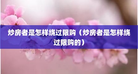 炒房者是怎样绕过限购（炒房者是怎样绕过限购的）