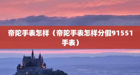 帝陀手表怎样（帝陀手表怎样分假91551手表）