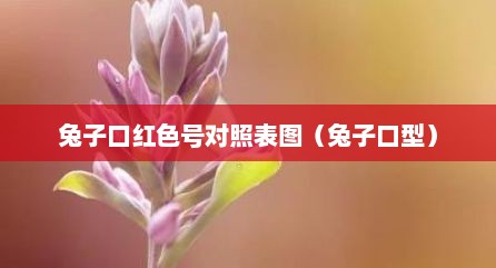 兔子口红色号对照表图（兔子口型）