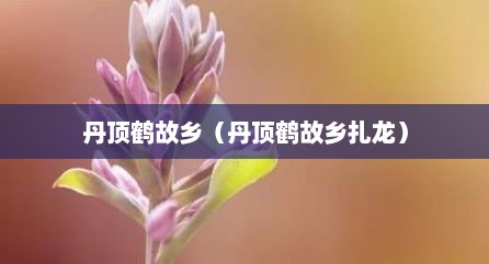 丹顶鹤故乡（丹顶鹤故乡扎龙）