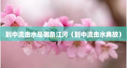 到中流击水是哪条江河（到中流击水典故）