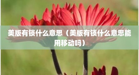 美版有锁什么意思（美版有锁什么意思能用移动吗）