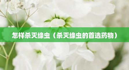 怎样杀灭绦虫（杀灭绦虫的首选药物）