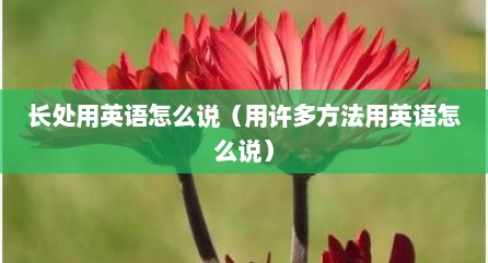 长处用英语怎么说（用许多方法用英语怎么说）