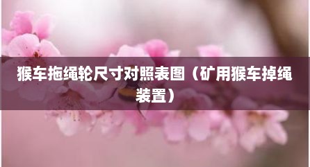 猴车拖绳轮尺寸对照表图（矿用猴车掉绳装置）