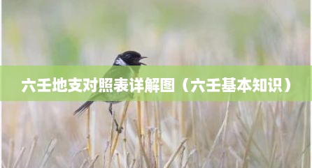 六壬地支对照表详解图（六壬基本知识）