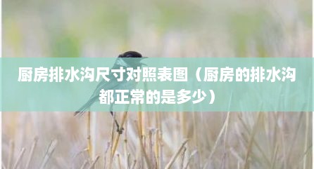 厨房排水沟尺寸对照表图（厨房的排水沟都正常的是多少）