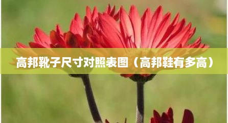 高邦靴子尺寸对照表图（高邦鞋有多高）