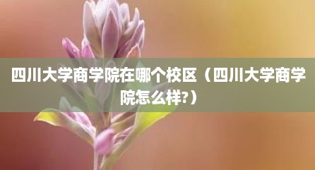 四川大学商学院在哪个校区（四川大学商学院怎么样?）