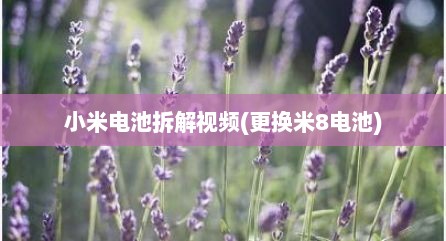 小米电池拆解视频(更换米8电池)