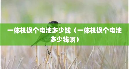 一体机换个电池多少钱（一体机换个电池多少钱啊）