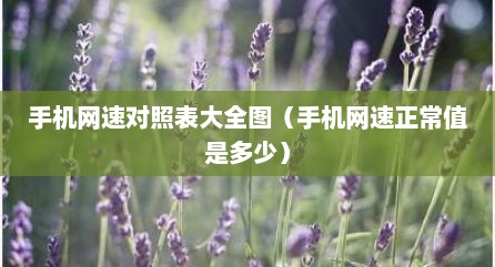 手机网速对照表大全图（手机网速正常值是多少）