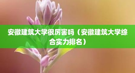 安徽建筑大学很厉害吗（安徽建筑大学综合实力排名）