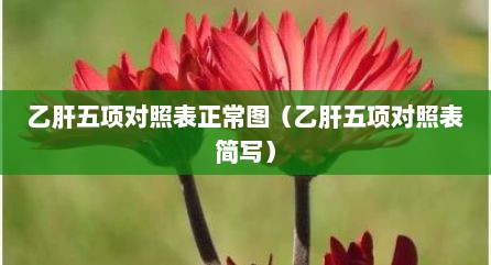 乙肝五项对照表正常图（乙肝五项对照表简写）
