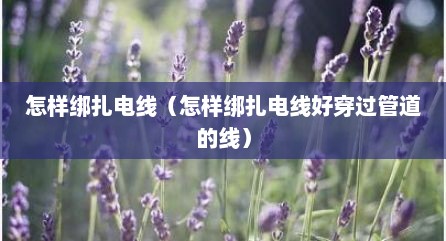 怎样绑扎电线（怎样绑扎电线好穿过管道的线）