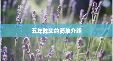 五年陈艾的简单介绍