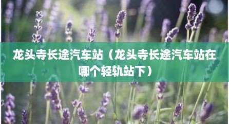 龙头寺长途汽车站（龙头寺长途汽车站在哪个轻轨站下）