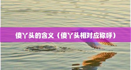 傻丫头的含义（傻丫头相对应称呼）