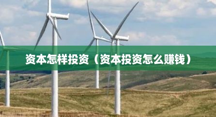 资本怎样投资（资本投资怎么赚钱）