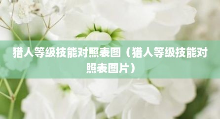 猎人等级技能对照表图（猎人等级技能对照表图片）