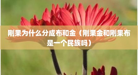 刚果为什么分成布和金（刚果金和刚果布是一个民族吗）