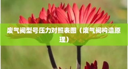 废气阀型号压力对照表图（废气阀构造原理）