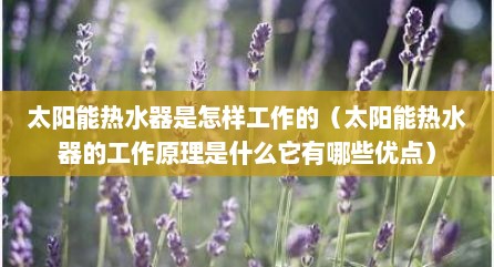 太阳能热水器是怎样工作的（太阳能热水器的工作原理是什么它有哪些优点）