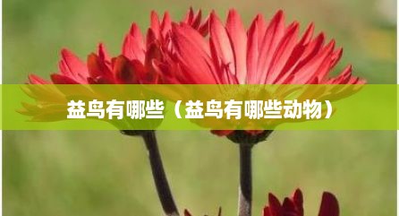益鸟有哪些（益鸟有哪些动物）
