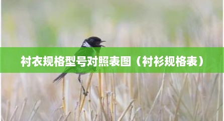 衬衣规格型号对照表图（衬衫规格表）