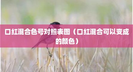口红混合色号对照表图（口红混合可以变成的颜色）