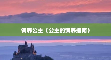 饲养公主（公主的饲养指南）