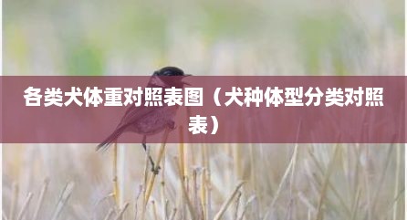 各类犬体重对照表图（犬种体型分类对照表）