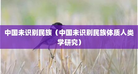 中国未识别民族（中国未识别民族体质人类学研究）