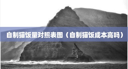 自制猫饭量对照表图（自制猫饭成本高吗）