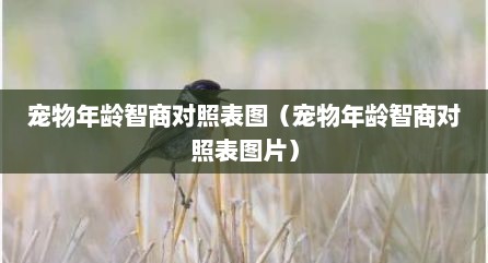 宠物年龄智商对照表图（宠物年龄智商对照表图片）