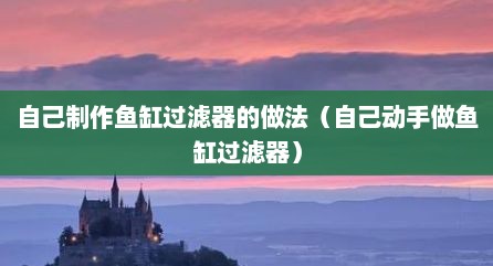 自己制作鱼缸过滤器的做法（自己动手做鱼缸过滤器）